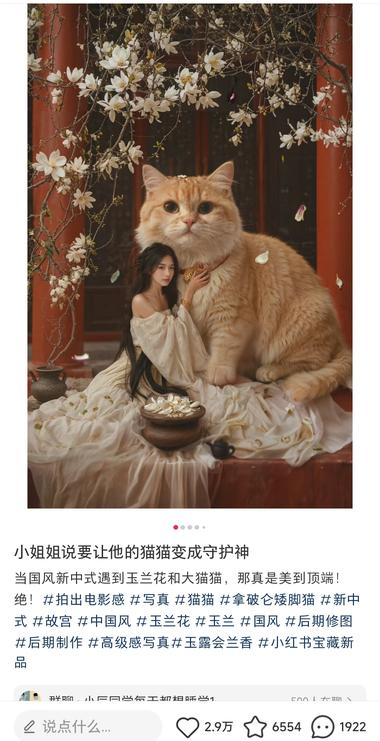 在小红书上，无意中刷到AI高端绘画定….-航海圈