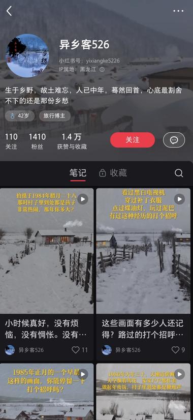 图片[5]-AI做图片，再转成视频。主打一个乡….-网创风向标论坛-网络创业-网创圈