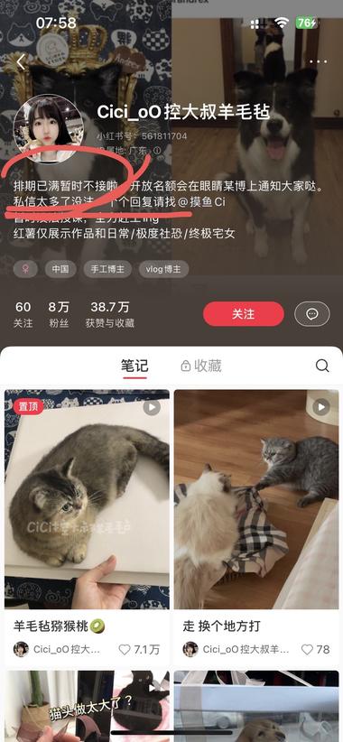 图片[3]-宠物赛道的情绪价值，感觉未来还是有发….-网创风向标论坛-网络创业-网创圈