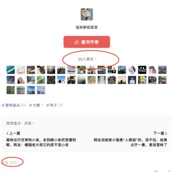 宠物故事赛道，写好宠物故事，流量经久….-航海圈