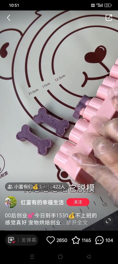 宠物烘培….-航海圈