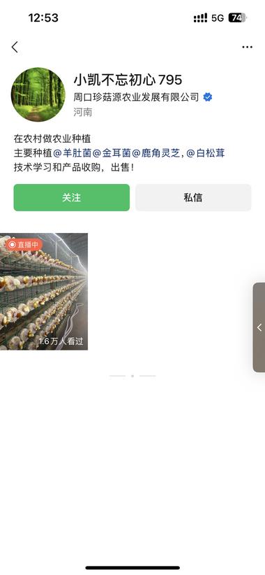 鹿角灵芝种植和回收，利用农村空房，种….-搞钱风向标论坛-航海社群内容-航海圈