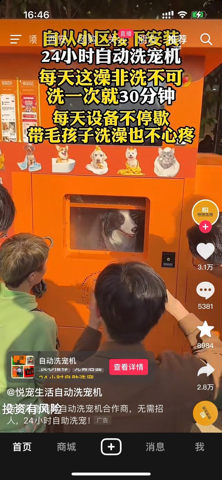 宠物自助洗澡机，宠物店洗洗一次10….-搞钱风向标论坛-航海社群内容-航海圈