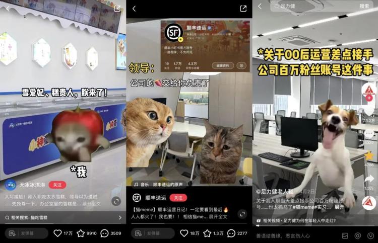 最近刷到“00后运营”+“猫mem….-搞钱风向标论坛-航海社群内容-航海圈