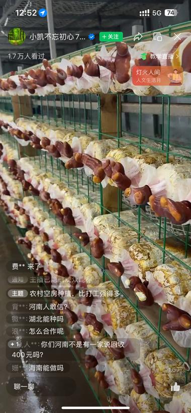 鹿角灵芝种植和回收，利用农村空房，种….-航海圈