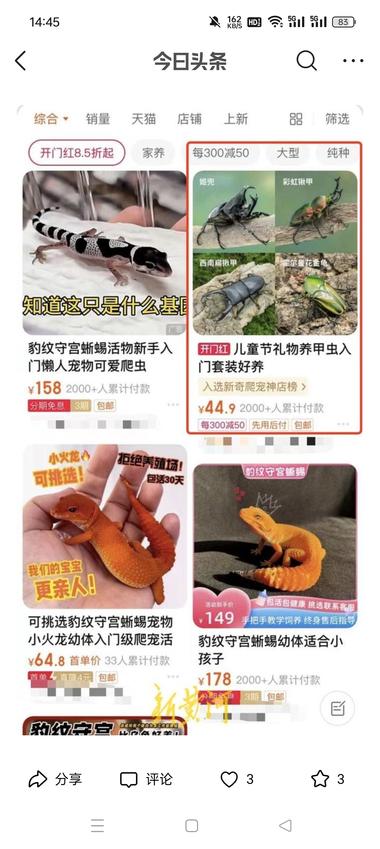 异宠也突然火起来了….-搞钱风向标论坛-航海社群内容-航海圈