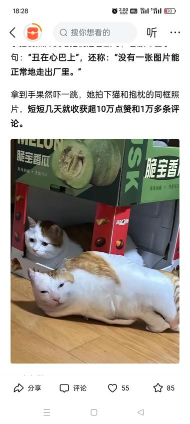 丑猫抱枕突然很火?….-搞钱风向标论坛-航海社群内容-航海圈