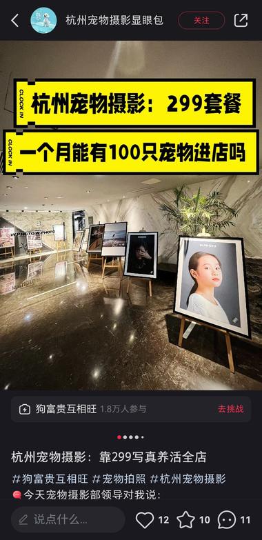 线下摄影的细分：给宠物拍写真….-搞钱风向标论坛-航海社群内容-航海圈