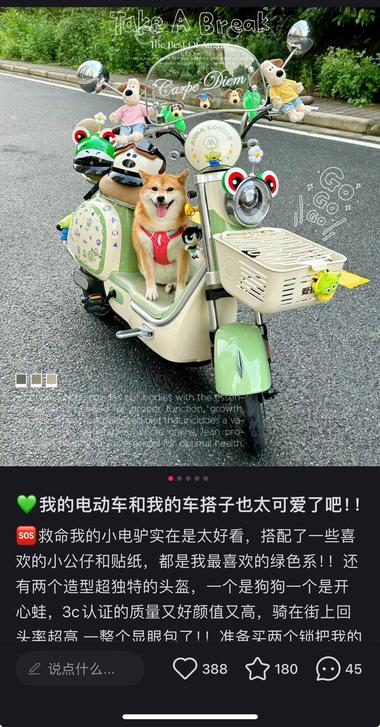 看到有人提到电动车装饰去小红书搜了….-搞钱风向标论坛-航海社群内容-航海圈