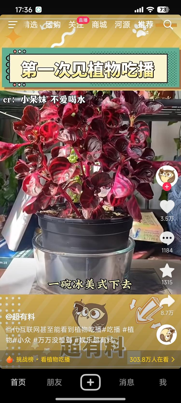 植物吃播，新的吸引点….-搞钱风向标论坛-航海社群内容-航海圈