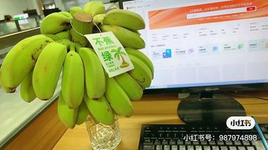 水果和梗的趣味结合我觉得很符合当下年….-航海圈