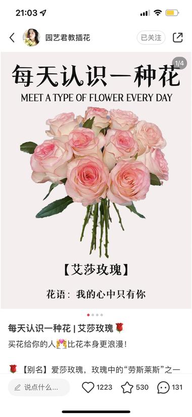 图片[2]-随着花市的兴起，小红书上做花的账号也….-网创风向标论坛-网络创业-网创圈
