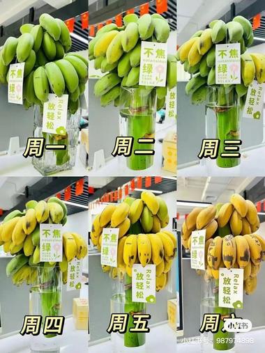 水果和梗的趣味结合我觉得很符合当下年….-航海圈