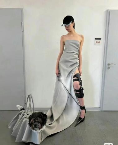 图片[5]-发现一款很有创意且实用的遛狗服….-网创风向标论坛-网络创业-网创圈