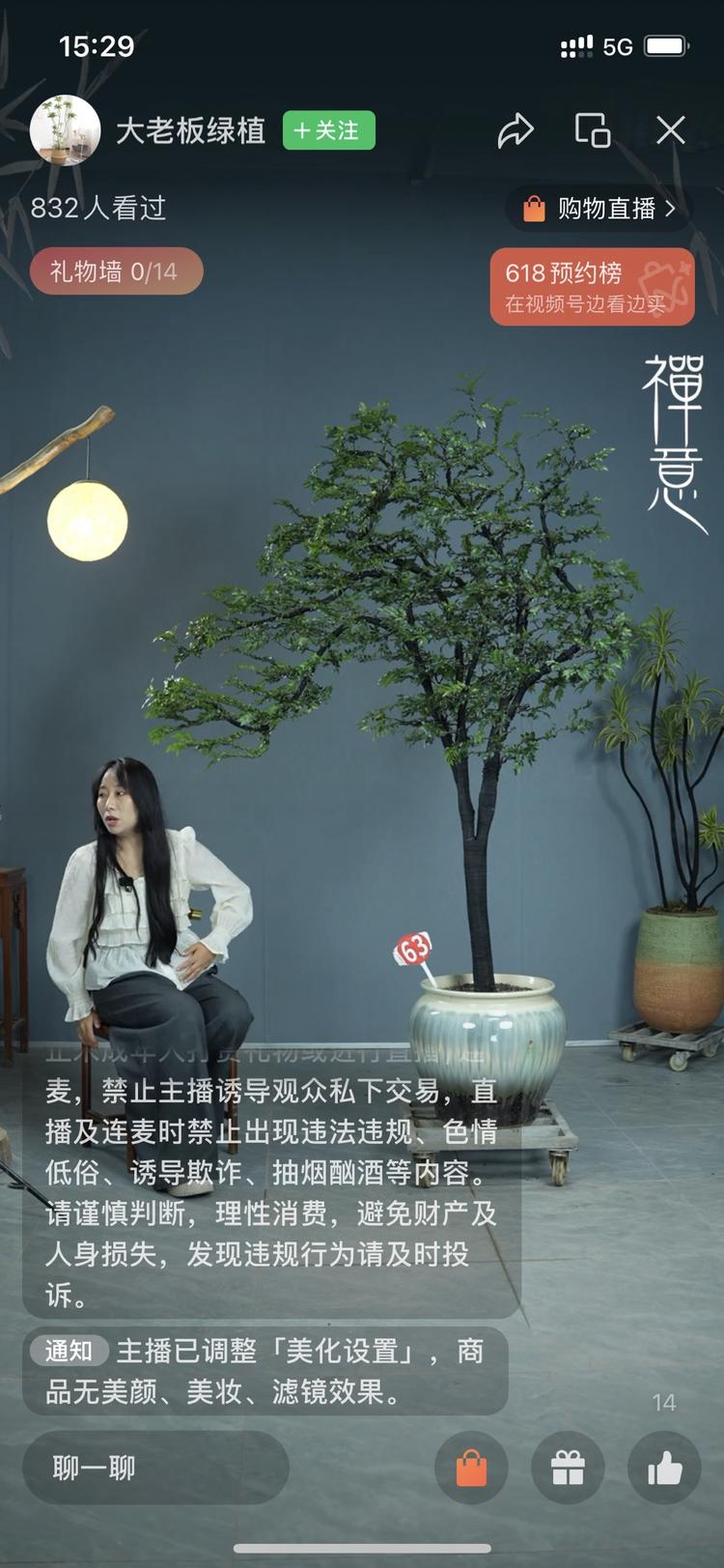 大型盆景，园艺绿植直播。观看人数….-航海圈