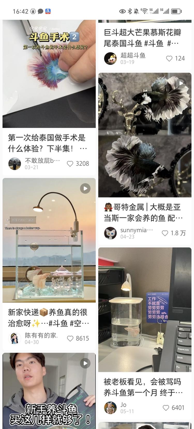 无意间在小红书里刷到斗鱼，马上就被….-搞钱风向标论坛-航海社群内容-航海圈