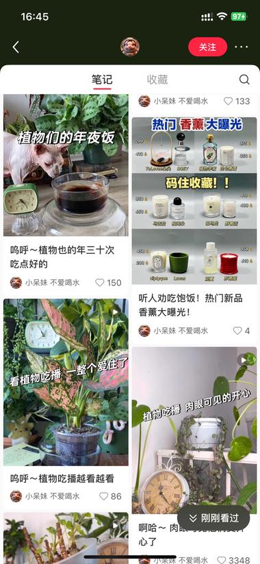 图片[2]-?植物吃播/植物喝水
大家都喜欢看吃….-网创风向标论坛-网络创业-网创圈