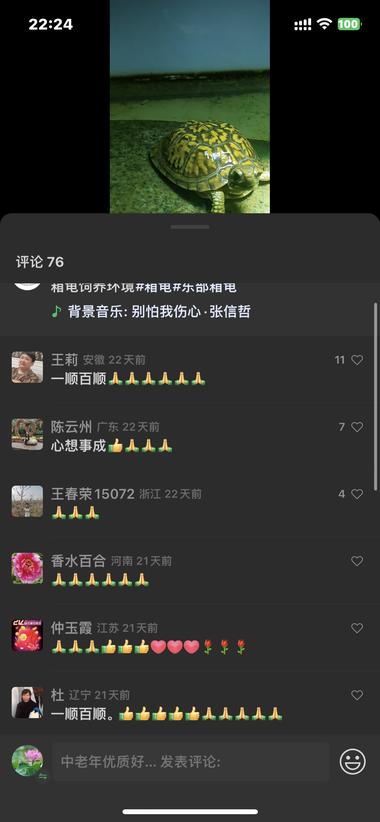 图片[3]-这个博主就发了乌龟的视频，不知道为什….-网创风向标论坛-网络创业-网创圈