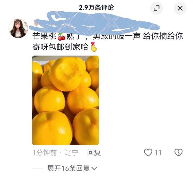 抖音热门视频评论区发时令水果引流….-搞钱风向标论坛-航海社群内容-航海圈