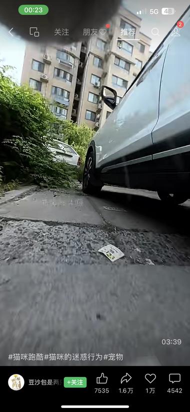 将摄像头安装在猫的项圈，拍摄一段追踪….-搞钱风向标论坛-航海社群内容-航海圈
