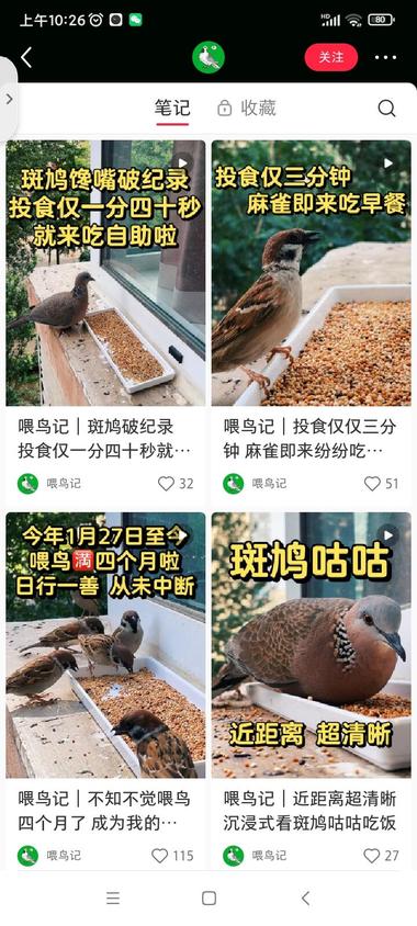 定机拍摄赛道,小鸟吃饭喽1、国外一….-搞钱风向标论坛-航海社群内容-航海圈