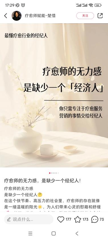 疗愈师经纪人，团队化操作，评论区有很….-搞钱风向标论坛-航海社群内容-航海圈