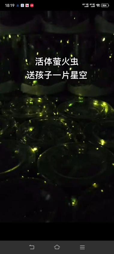 图片[2]-这个小众赛道，比较新奇….-网创风向标论坛-网络创业-网创圈