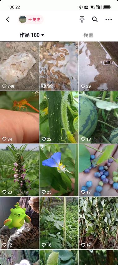 图片[2]-这个账号之前发的作品平平基本没什么流….-网创风向标论坛-网络创业-网创圈