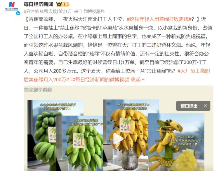 香蕉变盆栽，一夜火遍大江南北打工人工….-搞钱风向标论坛-航海社群内容-航海圈