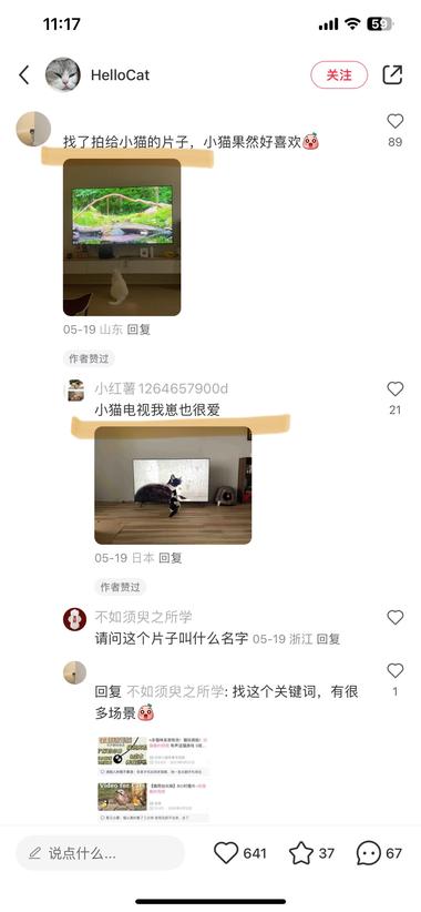 宠物行业新细分——给家里猫狗崽崽看的片源….-搞钱风向标论坛-航海社群内容-航海圈