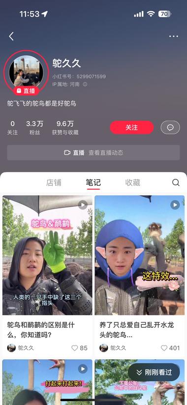 小红书：稀有动物吸睛，然后带鸵鸟毛….-搞钱风向标论坛-航海社群内容-航海圈