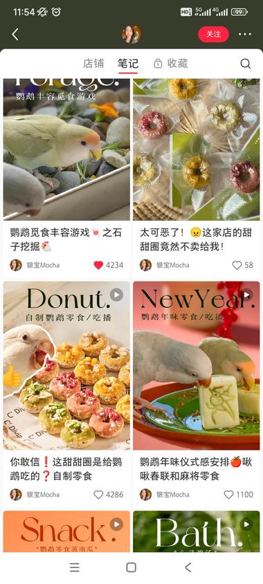 图片[2]-细分赛道，卖鹦鹉的鸟粮和零食….-网创风向标论坛-网络创业-网创圈