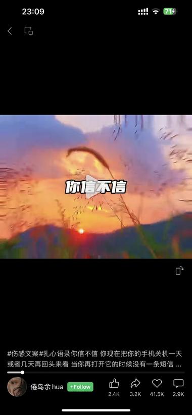 视频号“你信不信”的Z愈系预言，很….-航海圈