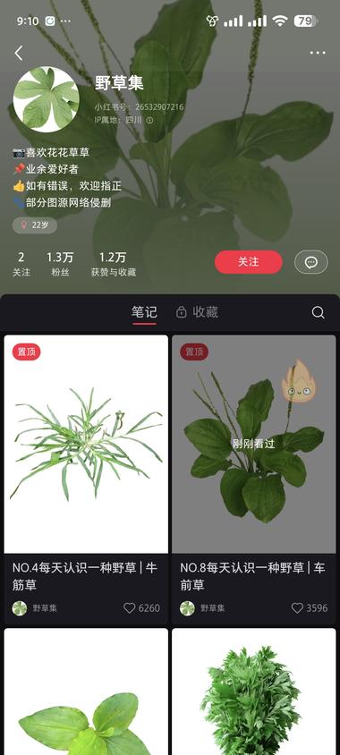小红书植物科普账号，流量还是不错的。….-航海圈