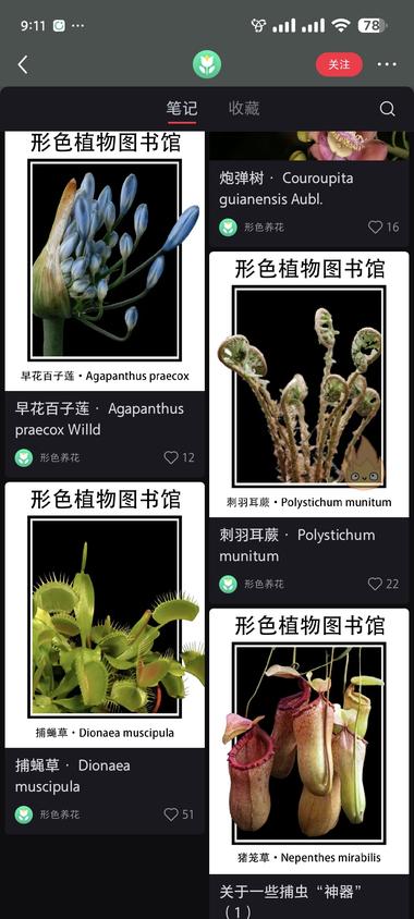 小红书植物科普账号，流量还是不错的。….-航海圈