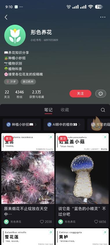 小红书植物科普账号，流量还是不错的。….-航海圈