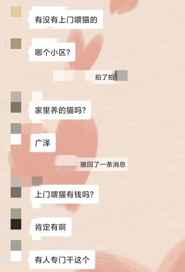 养宠物的人越来越多，节假日放假外出….-搞钱风向标论坛-航海社群内容-航海圈