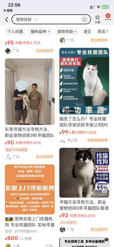 新兴行业 宠物侦探 帮找丢失宠物，客单价….-航海圈