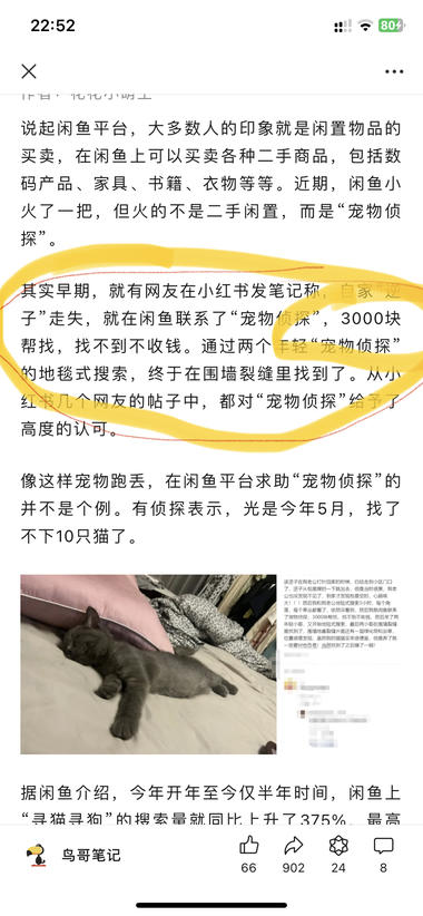 新兴行业 宠物侦探 帮找丢失宠物，客单价….-搞钱风向标论坛-航海社群内容-航海圈