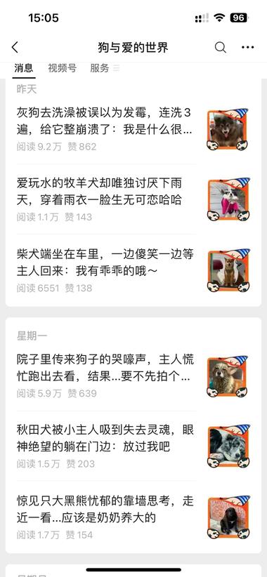 图片[4]-#风向标 喜欢宠物的朋友可以参考这个账….-网创风向标论坛-网络创业-网创圈