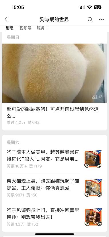 图片[5]-#风向标 喜欢宠物的朋友可以参考这个账….-网创风向标论坛-网络创业-网创圈