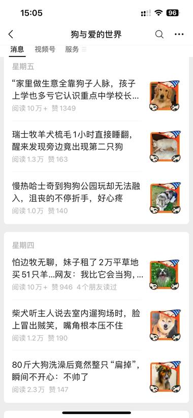 图片[6]-#风向标 喜欢宠物的朋友可以参考这个账….-网创风向标论坛-网络创业-网创圈