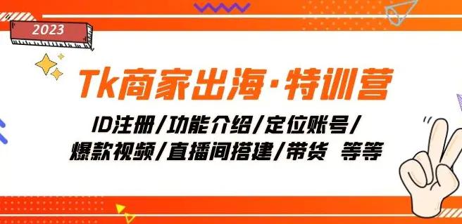 Tk商家出海·特训营：ID注册/功能介绍/定位账号/爆款视频/直播间搭建/带货