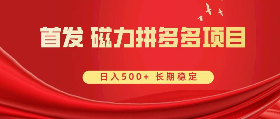 首发 磁力拼多多自撸  日入500