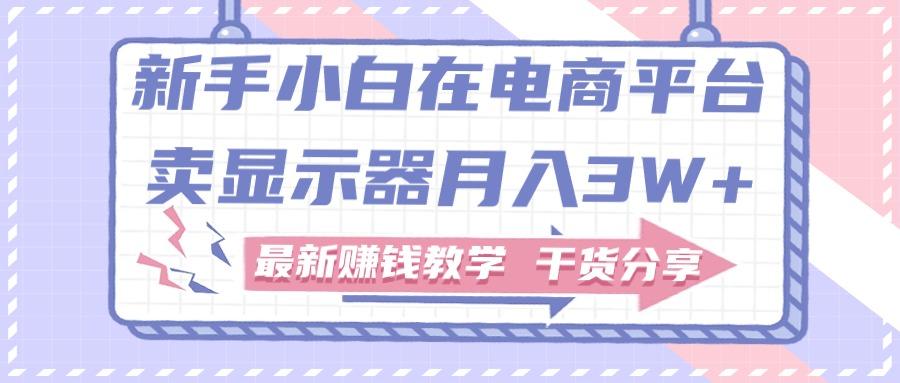 新手小白如何做到在电商平台卖显示器月入3W+，最新赚钱教学干货分享