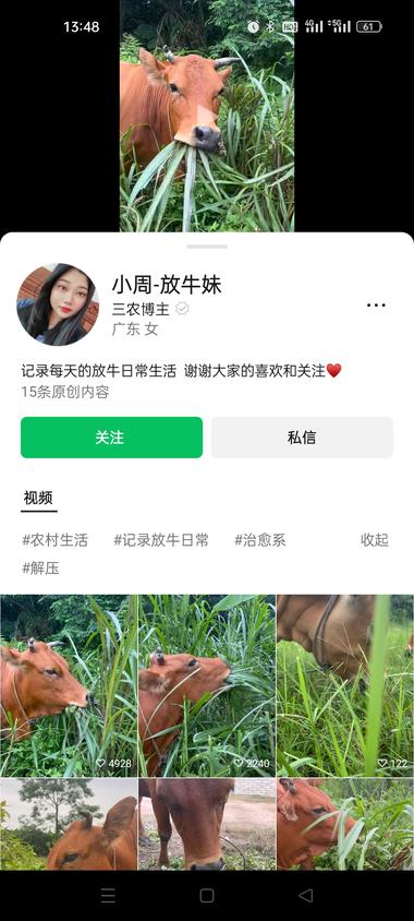 刷到一个只发牛吃草的视频号，第三条视….-搞钱风向标论坛-航海社群内容-航海圈