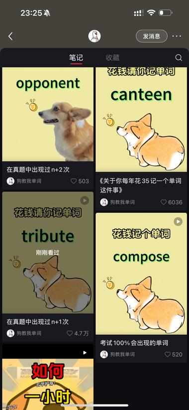 20240624091856230-image