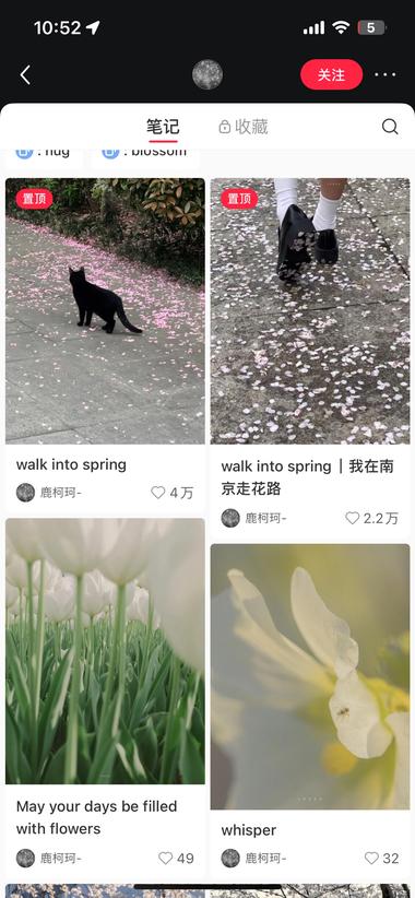 图片[4]-发现一个做疗愈+插画+写字+文创店….-网创风向标论坛-网络创业-网创圈