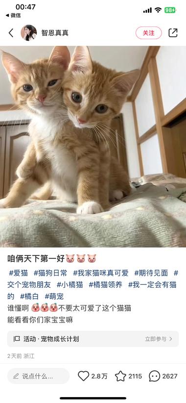 发现一个最近刚发的笔记，就..#风向标-航海圈