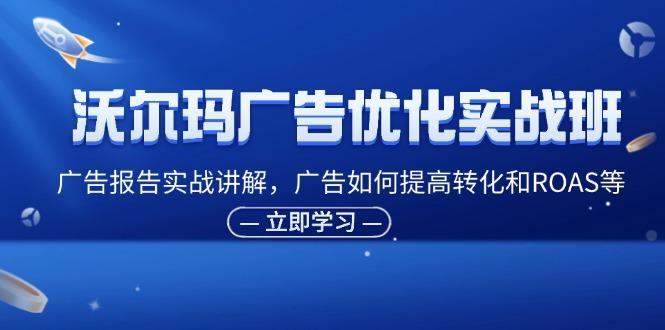 沃尔玛广告优化实战班，广告报告实战讲解，广告如何提高转化和ROAS等-航海圈